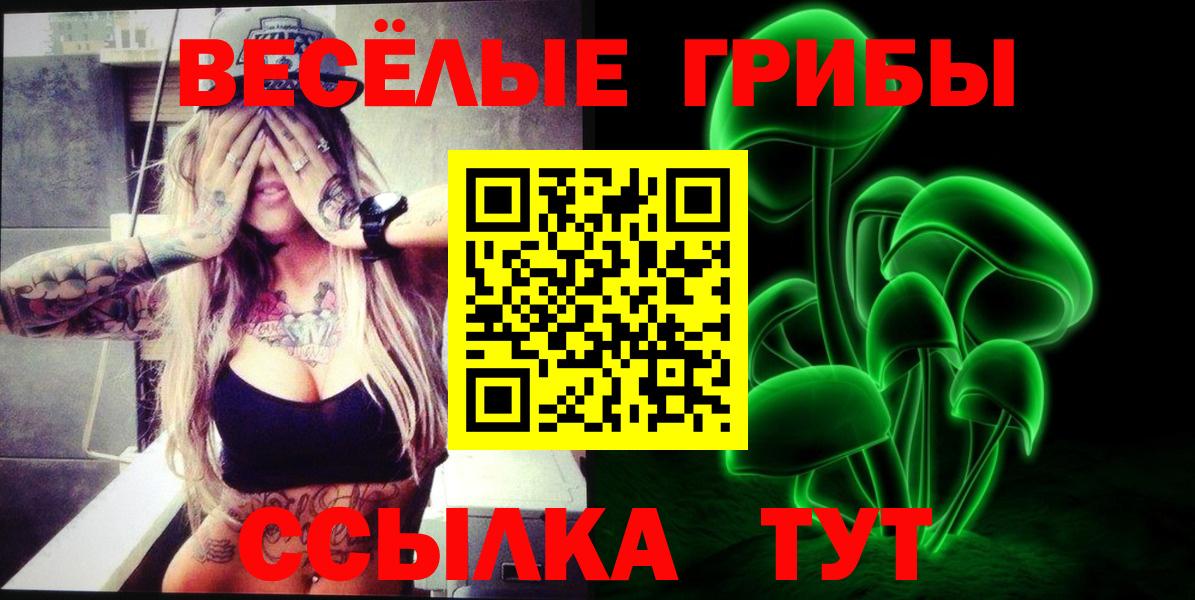 Галлюциногенные грибы прущие грибы Усть-Джегута